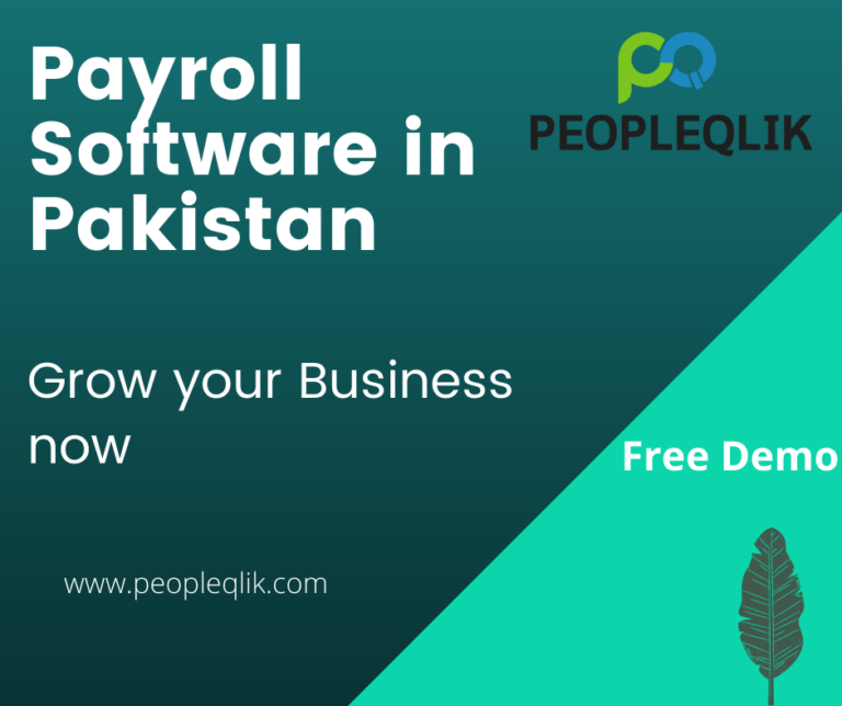 Why Online Payroll Software In Pakistan Is Important to Your Business? 