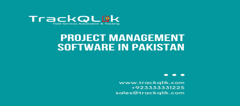 How Project Management Software in Pakistan Added Value in Business Growth