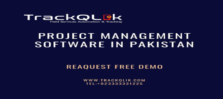 How Project Management Software in Pakistan Added Value in Business Growth