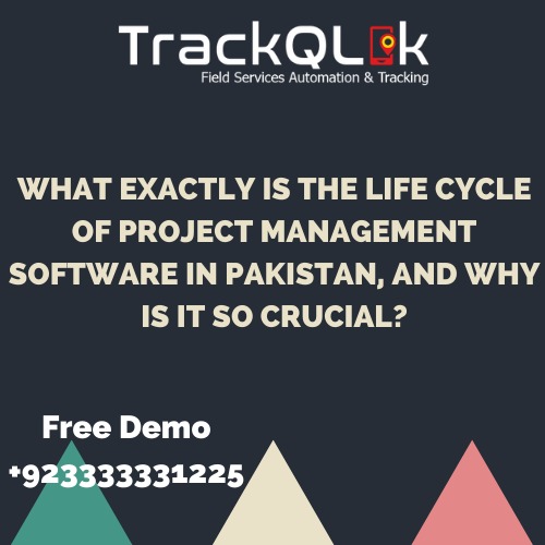 What exactly is the life cycle of Project Management Software in Pakistan, and why is it so crucial?