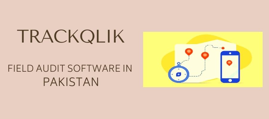 What Exactly Is Field Audit Software in Pakistan And How Can It Help You?
