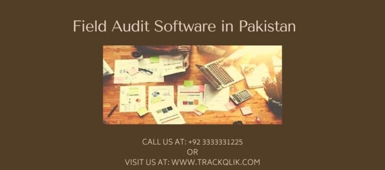 What Exactly Is Field Audit Software in Pakistan And How Can It Help You?